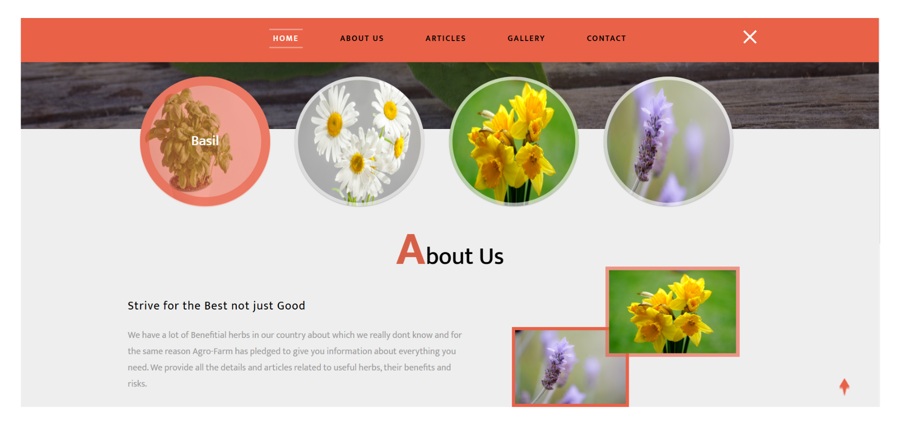 AgroFarm Website, Website Development Request, SEO Optimization, Graphic Designing, Freelancing, Anand, Gujarat, Game Development, Rahilsha, Freelancer, Top, Best